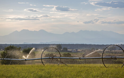 1789 County Road 44Z S