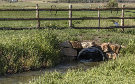 1789 County Road 44Z S