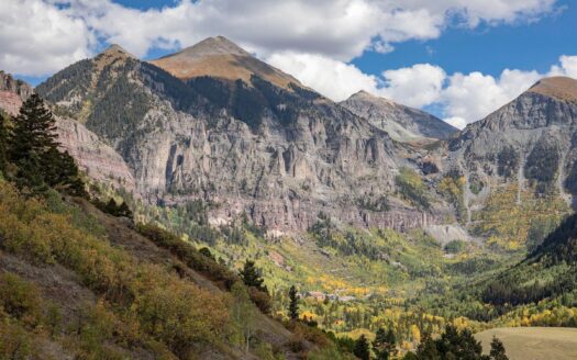 Lot 11 Primrose Lane