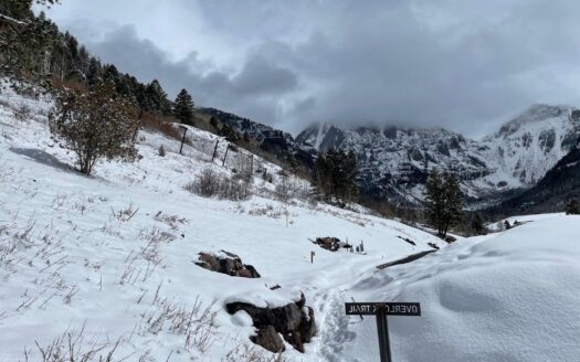 Lot 11 Primrose Lane