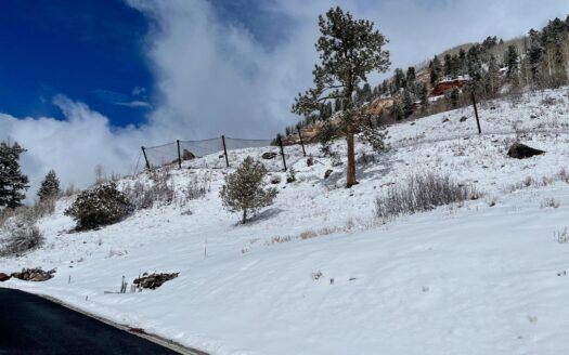 Lot 11 Primrose Lane