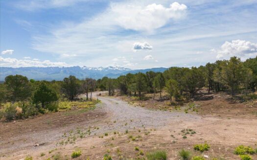 TBD Pine Drive