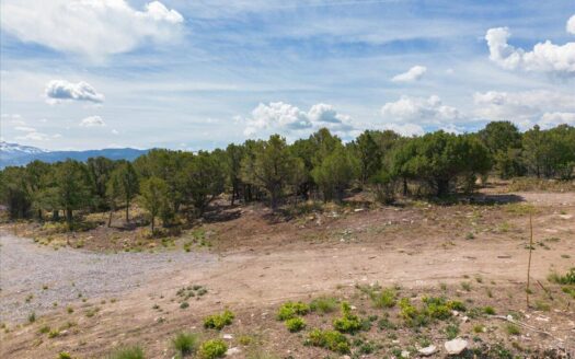 TBD Pine Drive
