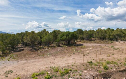 TBD Pine Drive
