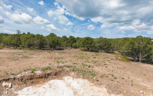 TBD Pine Drive