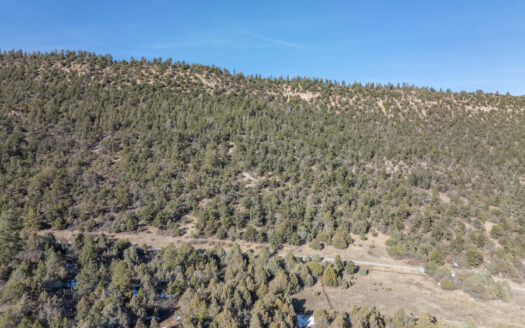 TBD Tract 7 Old Relay Road