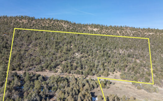 TBD Tract 7 Old Relay Road