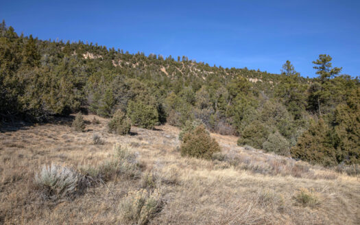 TBD Tract 7 Old Relay Road