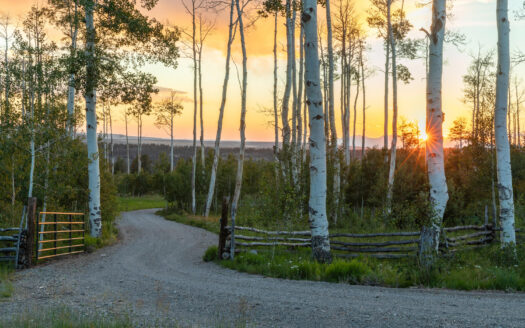 3036 Laughing Dog Road