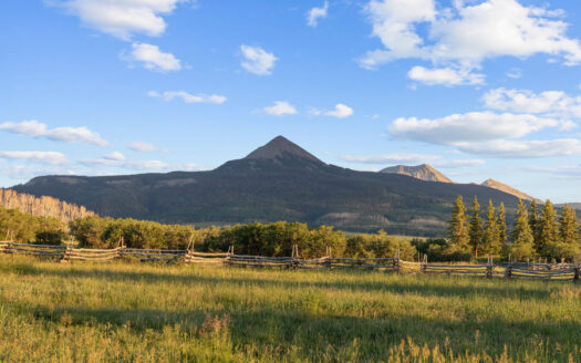 3036 Laughing Dog Road