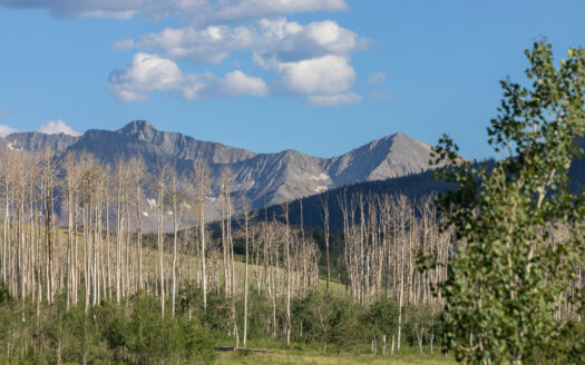 3036 Laughing Dog Road