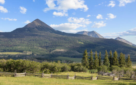 3036 Laughing Dog Road