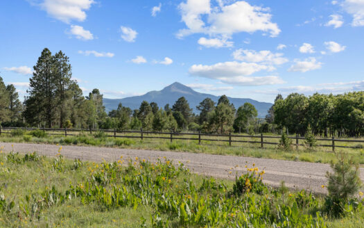 1151 Peninsula Drive