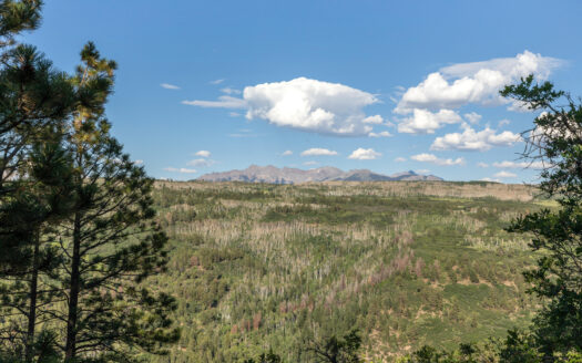 1151 Peninsula Drive