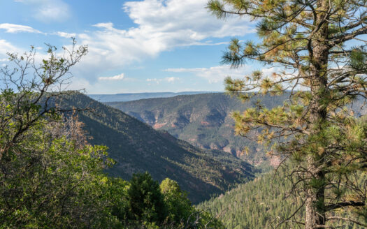 1151 Peninsula Drive