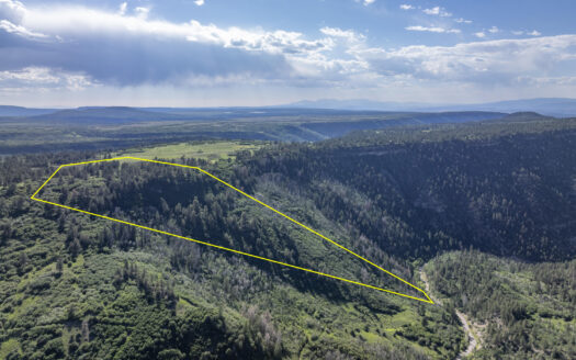 1151 Peninsula Drive