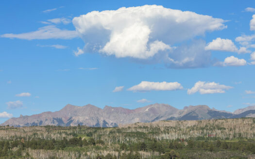 1151 Peninsula Drive