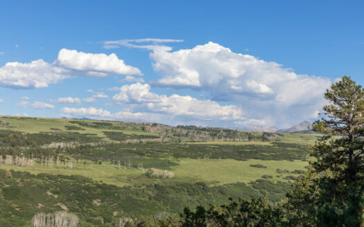 1151 Peninsula Drive