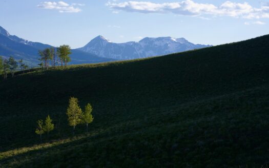 Lot 126 Aldasoro Ranch