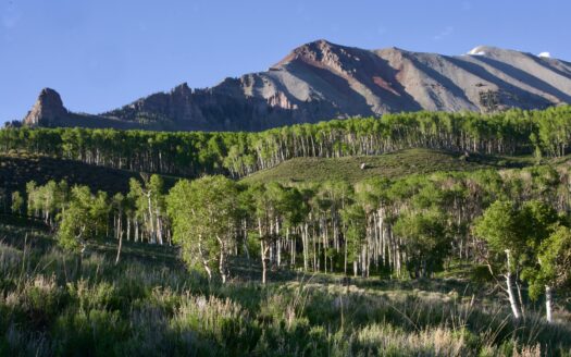 Lot 126 Aldasoro Ranch