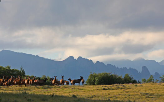 2728 Sound of Music Lane