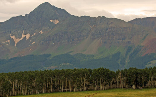 2728 Sound of Music Lane