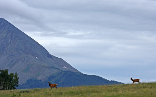 2728 Sound of Music Lane