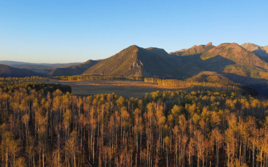 2728 Sound of Music Lane