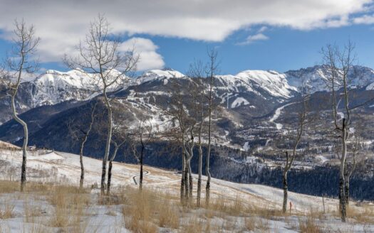 TBD Basque Boulevard