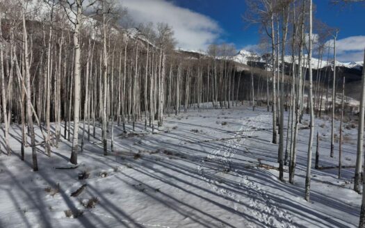 TBD Basque Boulevard