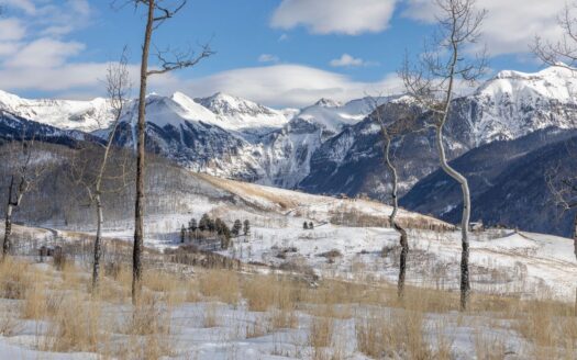 TBD Basque Boulevard