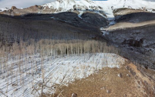 TBD Basque Boulevard