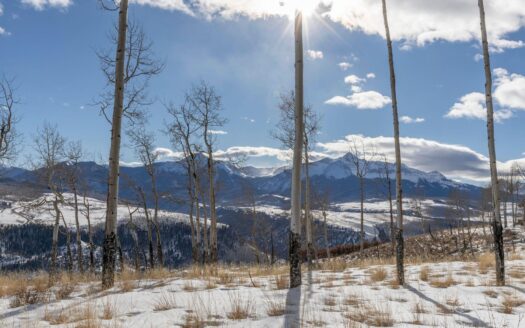 TBD Basque Boulevard