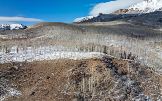 TBD Basque Boulevard