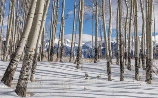 TBD Basque Boulevard