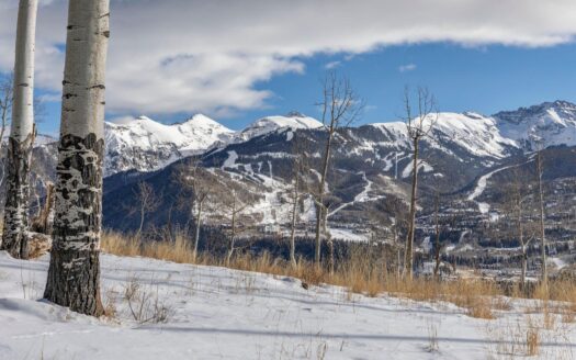 TBD Basque Boulevard