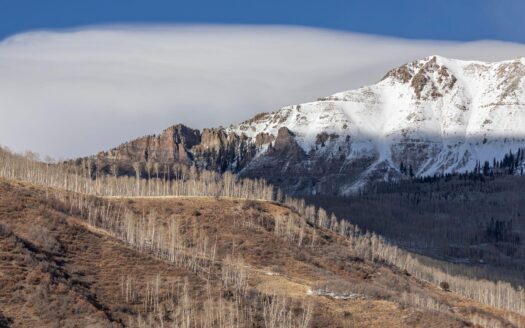 TBD Basque Boulevard