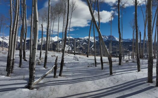 TBD Basque Boulevard