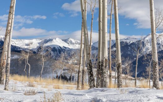 TBD Basque Boulevard