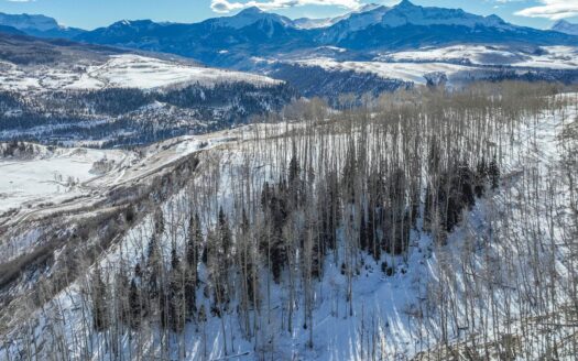 TBD Basque Boulevard