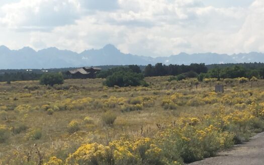 70 Alpenview Meadows Drive