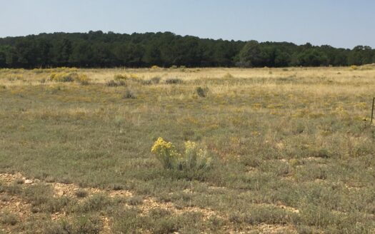 70 Alpenview Meadows Drive