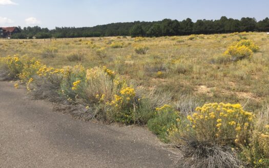 70 Alpenview Meadows Drive