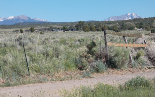 tbd Lone Cone Street Street