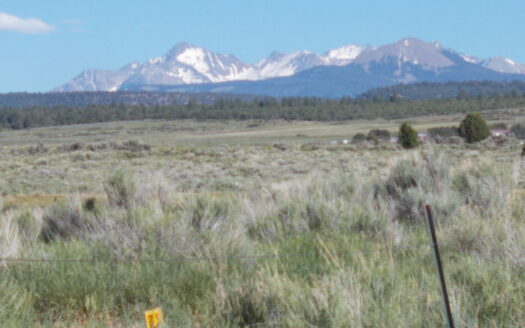 tbd Lone Cone Street Street