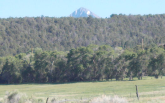 tbd Lone Cone Street Street