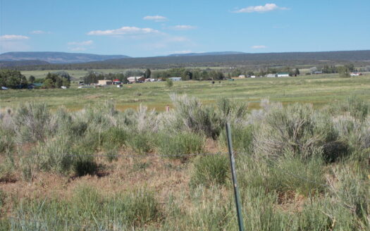 tbd Lone Cone Street Street