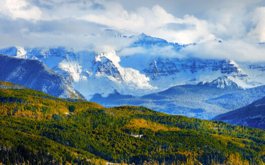 DRR Last Dollar Road