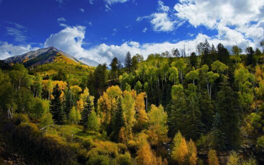 DRR Last Dollar Road