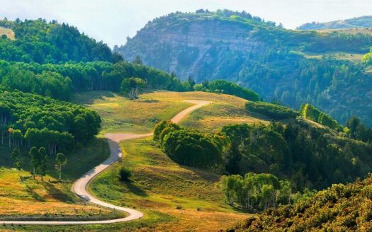 DRR Last Dollar Road